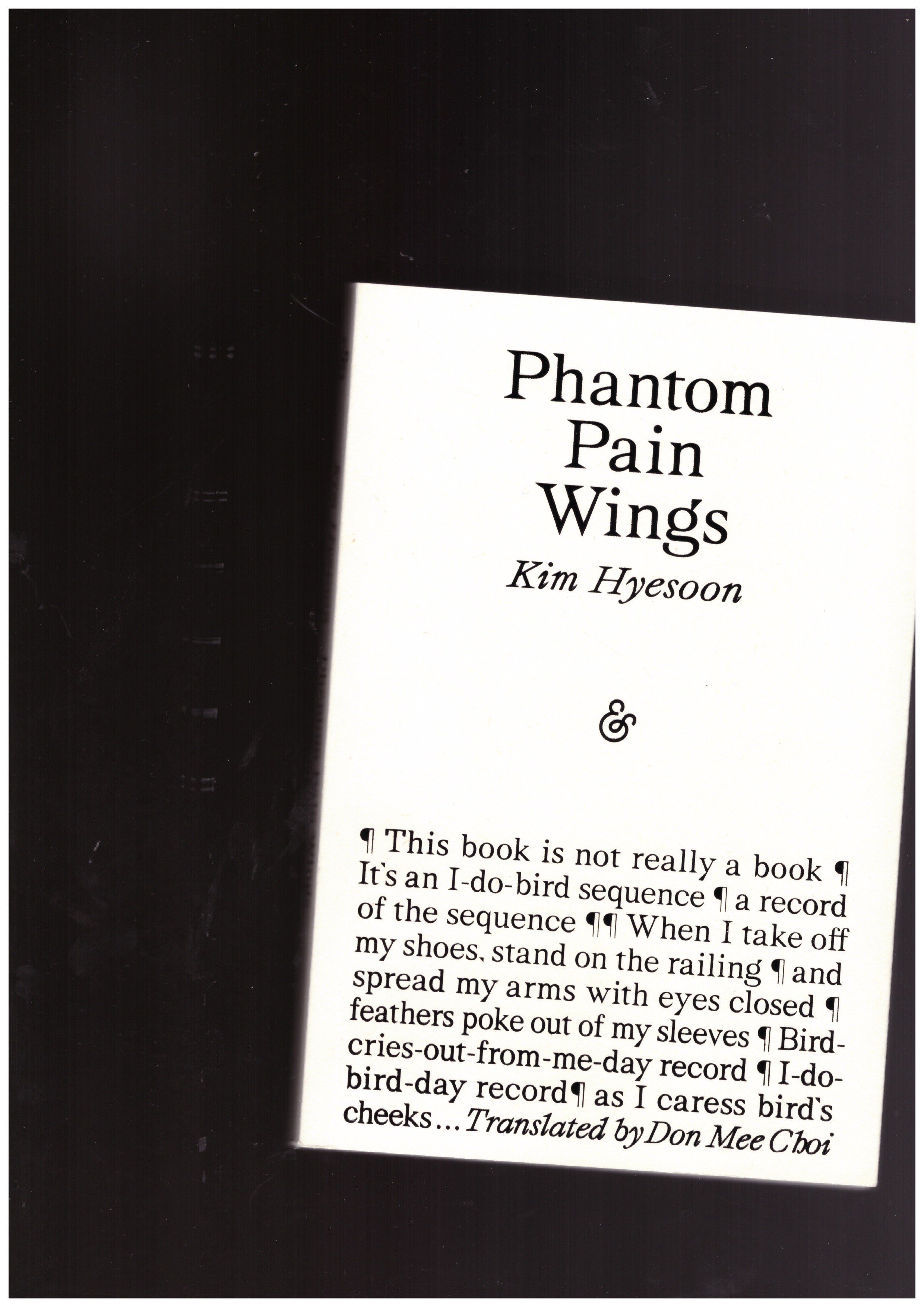 HYESOON, Kim - Phantom Pain Wings